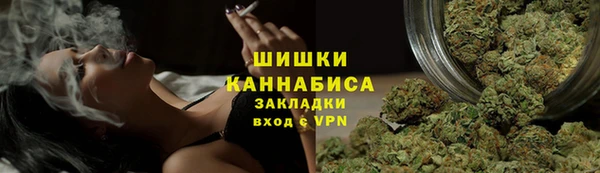 стаф Алзамай