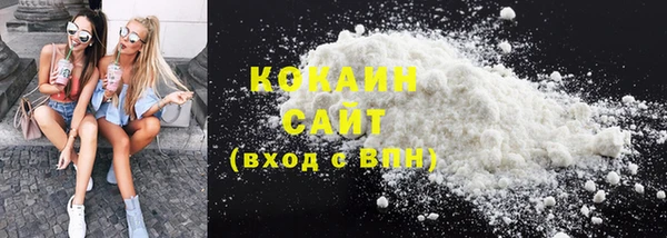 стаф Алзамай