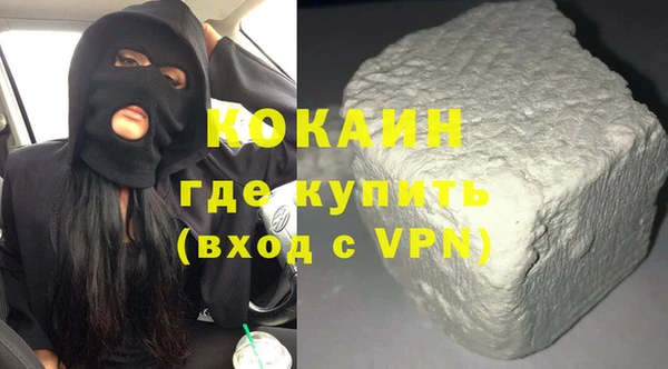 стаф Алзамай